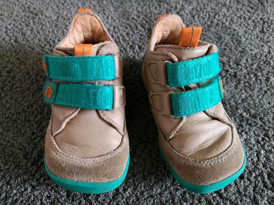 Affenzahn Buddy Krabbe Gr. 23 Barfußschuhe in Edewecht