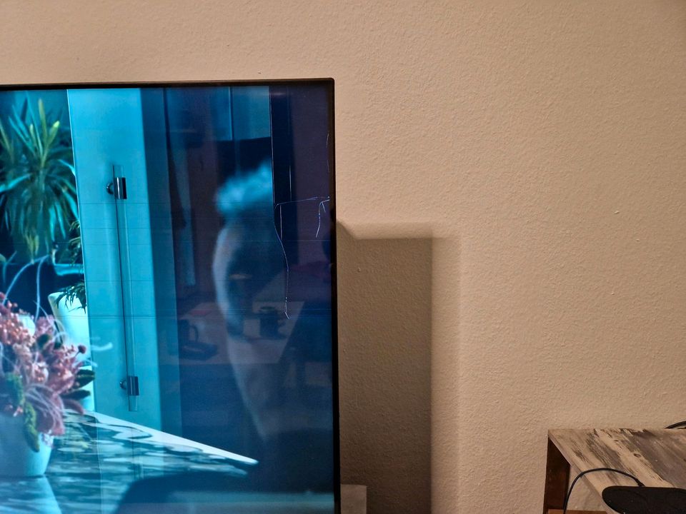 Fernseher hisense 65 Zoll samart TV 1.5jahre alt in Coesfeld
