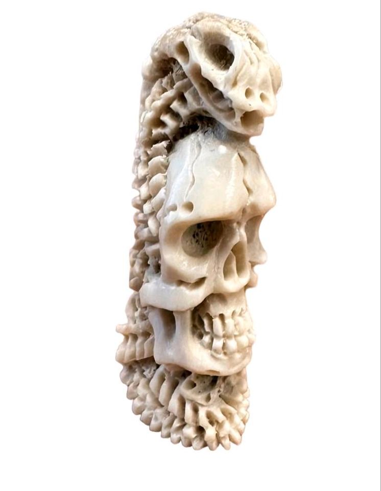 ‼️Antiker musealer Memento Mori*England*ca 1870*Schädel*Vanitas in Ferch