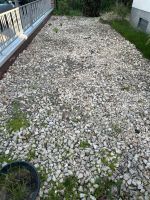 Steine in den Hintergarten bringen Rheinland-Pfalz - Ludwigshafen Vorschau