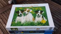 Puzzle 1000Teile, Jack Russel Welpen Häfen - Bremerhaven Vorschau