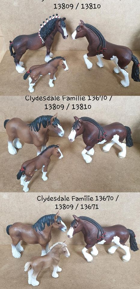 Schleich Clydesdale Familien in Eggesin