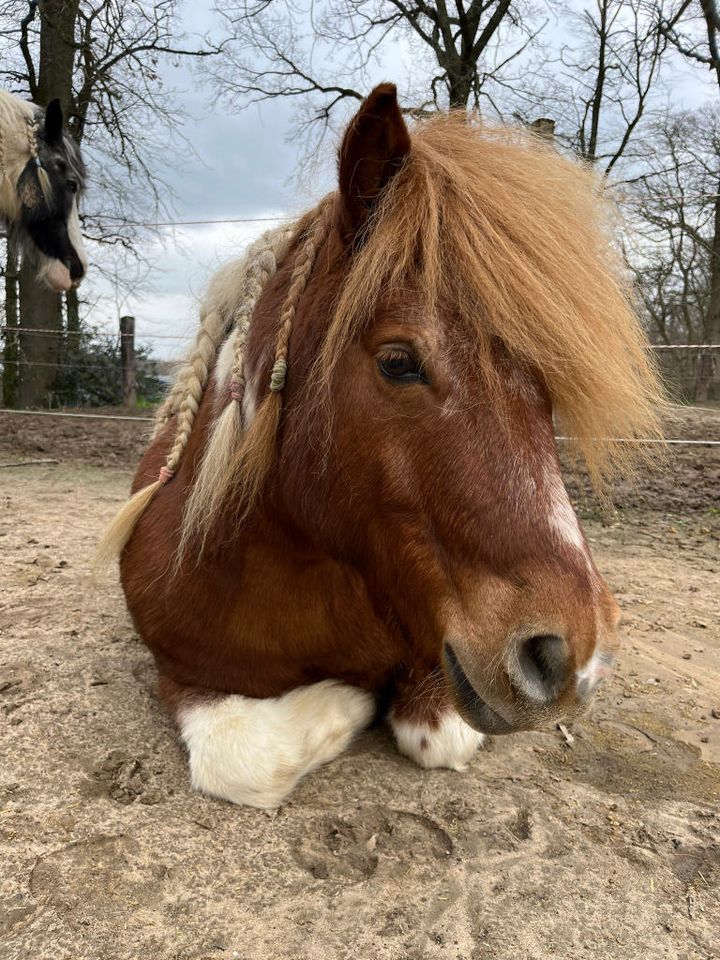 Platz für ALLE zum fairen Preis! in Langenfeld