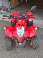 Kymco Maxxer 50 Sports Quad mit Straßenzulassung Kinderquad Bayern - Regenstauf Vorschau