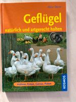 Geflügel natürlich und artgerecht halten von Alice Stein Brandenburg - Höhenland Vorschau