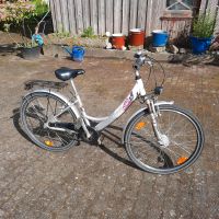 Fahrrad 26" Pegasus Jugendrad Kinderrad Niedersachsen - Egestorf Vorschau