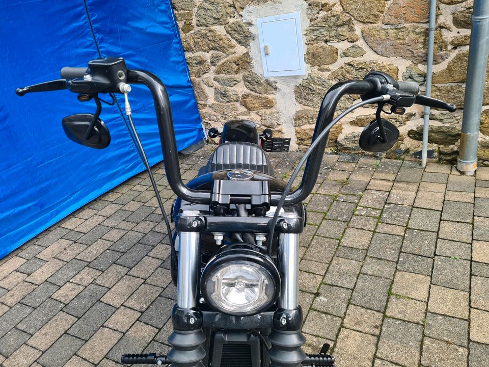 Harley-Davidson Softail Standard 107 in Dillenburg