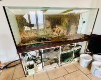 800 Liter Aquarium komplett mit Unterschrank & sehr viel Zubehör Bayern - Hallbergmoos Vorschau