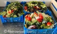 ❤️Suche Frischfutter für Meerschweinchen/Salat/Bambus/Hasel uvm Saarland - Püttlingen Vorschau