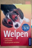 Welpen - richtig halten und erziehen - Hundesprache verstehen Baden-Württemberg - Weil am Rhein Vorschau