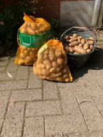 Bio Speisekartoffeln Belana Gunda Kartoffeln Bioland Niedersachsen - Goldenstedt Vorschau