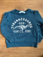 Sweatshirt Pulli Pullover Dinosaurier H&M Thüringen - Triptis Vorschau
