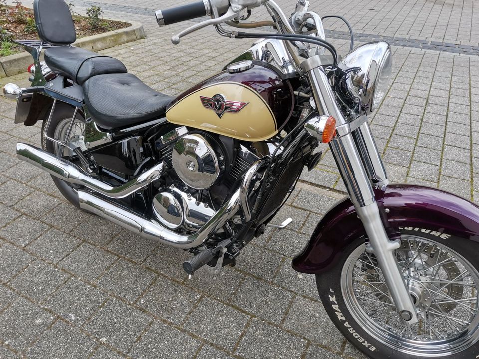 Verkaufe meine Kawasaki vn 800 classic in Worms