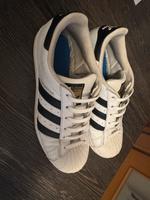 Adidas Superstars Schuhe Damen Hessen - Lichtenfels Vorschau