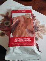 Neu Pro Art lufttrockende Modelliermasse 500 g Altona - Hamburg Groß Flottbek Vorschau