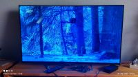 LCD-Fernseher Sony KDL-50W685A Kiel - Russee-Hammer Vorschau