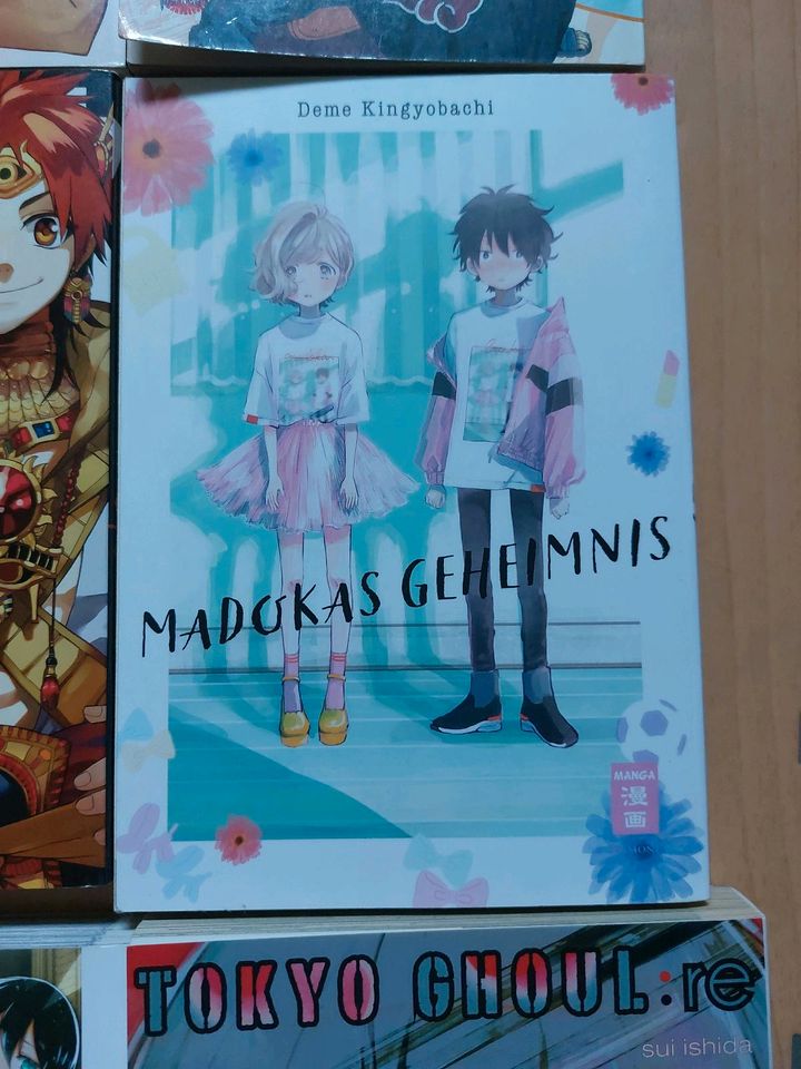 Verschiedene Manga in Essen