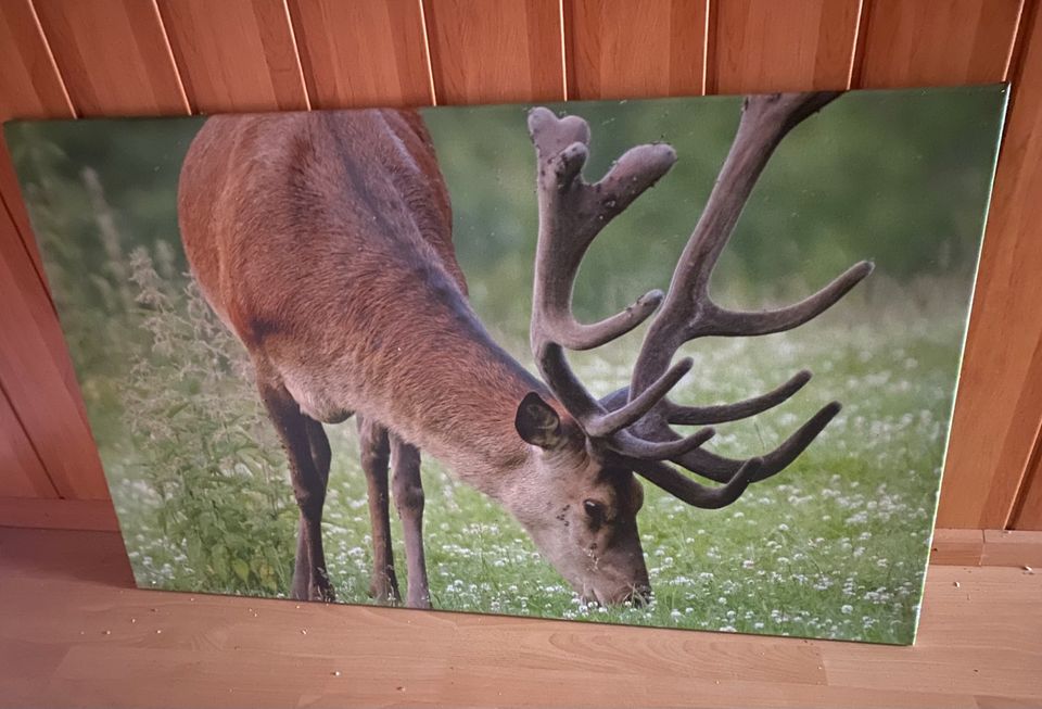 ++ Hirsch auf Leinwand-Druck ++ grün ++ in Altlußheim