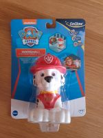 Led Licht Lampe Taschenlampe paw patrol marshall Niedersachsen - Bad Harzburg Vorschau