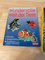 Tierbücher Sachsen - Geithain Vorschau