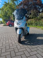 Scooter, Elektromobil, Dreirad, Elektroroller, Luxxon E3900 Niedersachsen - Westoverledingen Vorschau