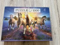 Puzzle 1000 Teile - Pferde im Lavendelfeld Bayern - Landau a d Isar Vorschau