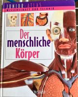 Der menschliche Körper Nordrhein-Westfalen - Iserlohn Vorschau