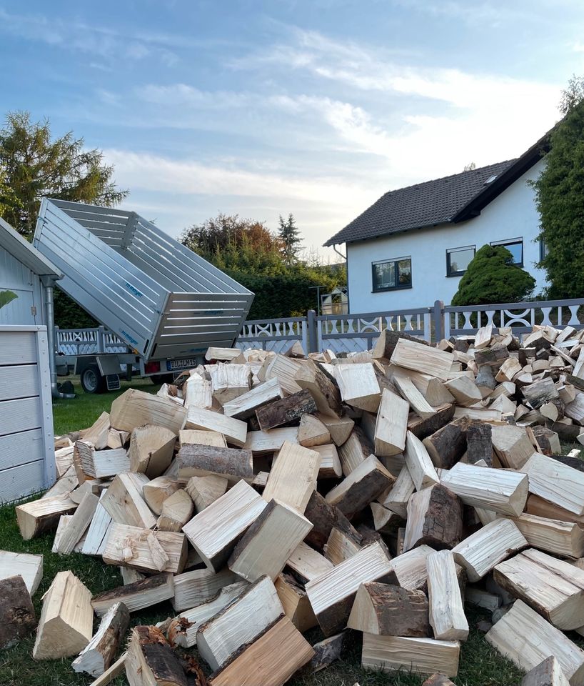 Brennholz Kaminholz Feuerholz Scheitholz Ofenfertig Buche Esche Fichte in Löhnberg