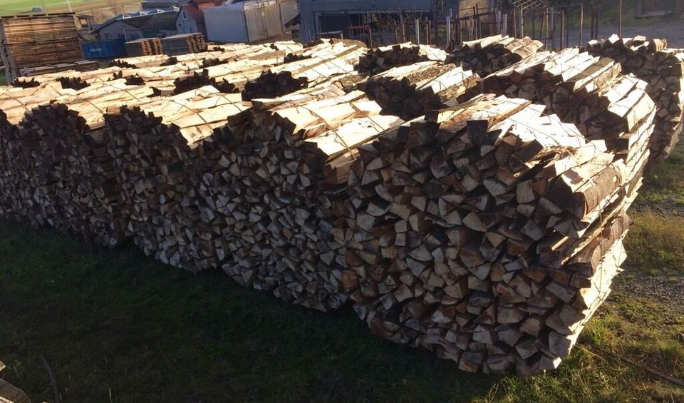 Buche Brennholz Kaminholz frisch in Hardegsen