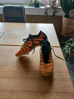 Nike Mercurial Vapor 15 x Air Max Plus FG Nordrhein-Westfalen - Bergisch Gladbach Vorschau