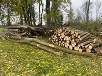 Esche Holz Stamm Meterware Bayern - Heimertingen Vorschau