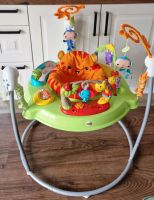 Fisher Price Rainforest Jumperoo, Hoppser, Bouncer Niedersachsen - Friedland Vorschau