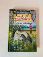 Kinderbücher Schleswig-Holstein - Seth Holstein Vorschau