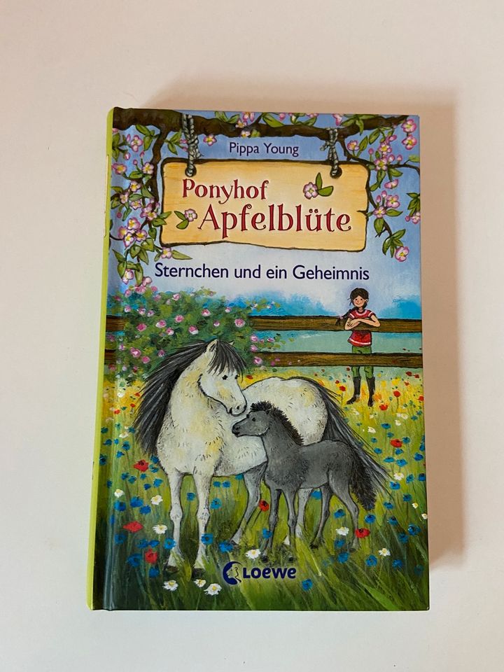 Kinderbücher in Seth Holstein