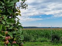 Resthof an der Ostsee Pankow - Prenzlauer Berg Vorschau