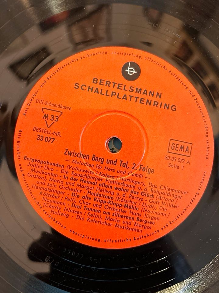 18 Schallplatten 10“ zum Basteln oder Hören Vinyl Flohmarkt in Gültz