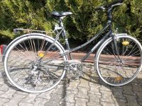 Damenfahrrad 28 Zoll Hessen - Langen (Hessen) Vorschau