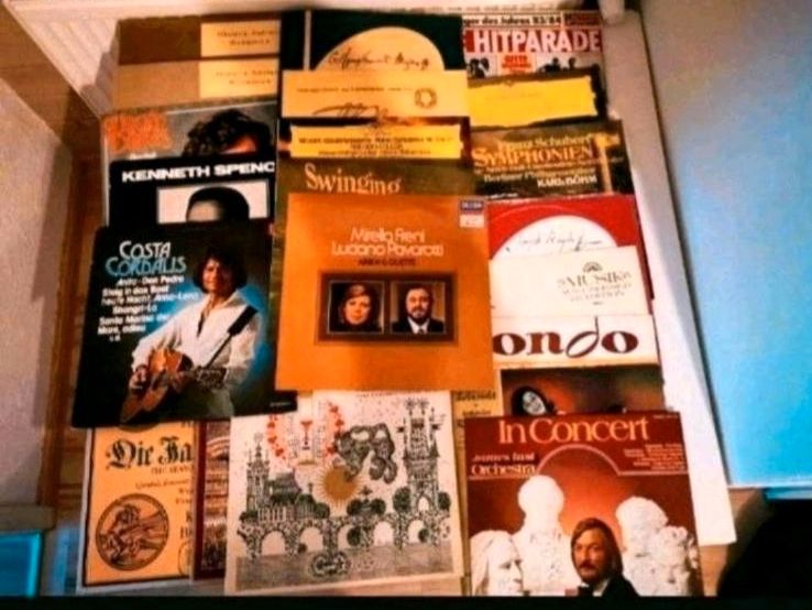 Sehr viele unterschiedliche Schallplatte Record Schallplatten in Reutlingen