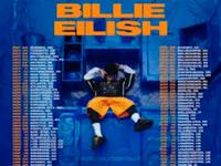 Suche 1 Billie Ticket 29.5 Hessen - Heusenstamm Vorschau