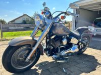 Harley Davidson Fat Boy TC 88 Vergaser Baden-Württemberg - Gosheim Vorschau