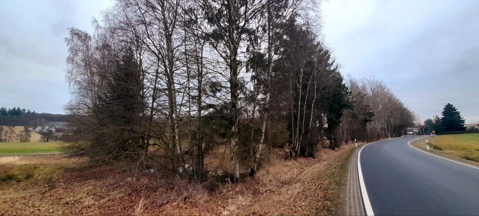 Gemüsegarten,Gemüseanbau,Ackerland,Grünlandfläche,Grundstück in Romrod