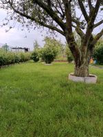 Suche einen Schrebergarten zum Kaufen Nordrhein-Westfalen - Euskirchen Vorschau