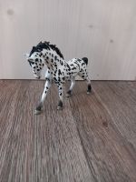 Schleich Knabstrupper Hengst Hamburg-Nord - Hamburg Langenhorn Vorschau