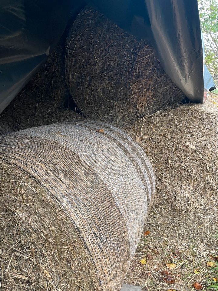 Rundballen Weizenstroh in Wriezen