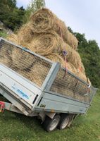 Heuballen / Minirollen / Pferdeheu zu verkaufen… Sachsen-Anhalt - Blankenburg (Harz) Vorschau