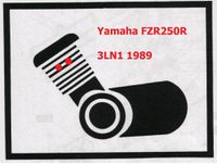 Suche: Yamaha FZR250R 3ln1 Motor Niedersachsen - Wagenfeld Vorschau