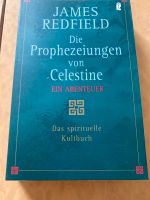 Die Prophezeiungen von Celestine von Jamrs Redfield Bayern - Ingolstadt Vorschau