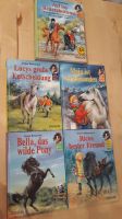 Pony Trio 5 Bücher 7 Bände Pferde Reiten Niedersachsen - Garbsen Vorschau