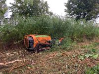 Schlegelmulcher Forstmulcher, Baufeldvorbereitung, Forstkulturen Schleswig-Holstein - Nienwohld Vorschau