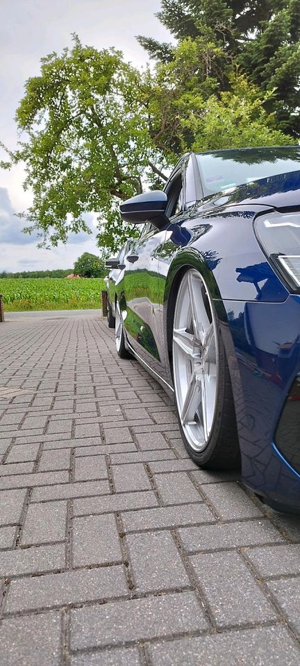 Oxigin 19 Zoll Audi Felgen in Westerkappeln
